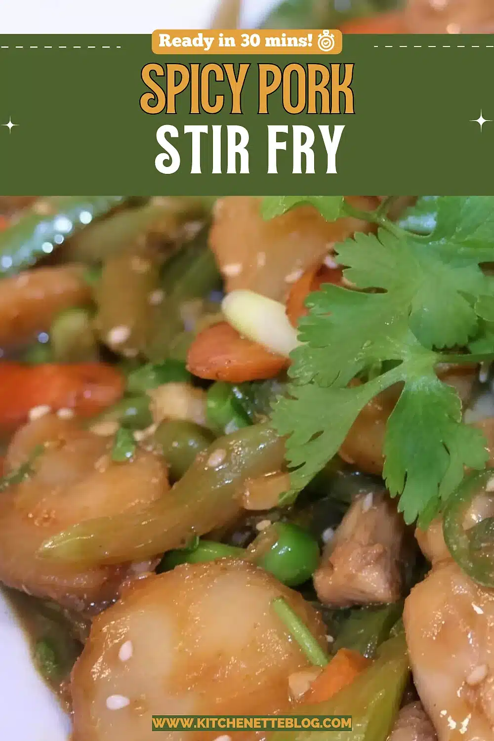 Sliced pork, water chestnuts, carrots and celery in a glossy brown sauce, topped with sesame seeds and a sprig of cilantro