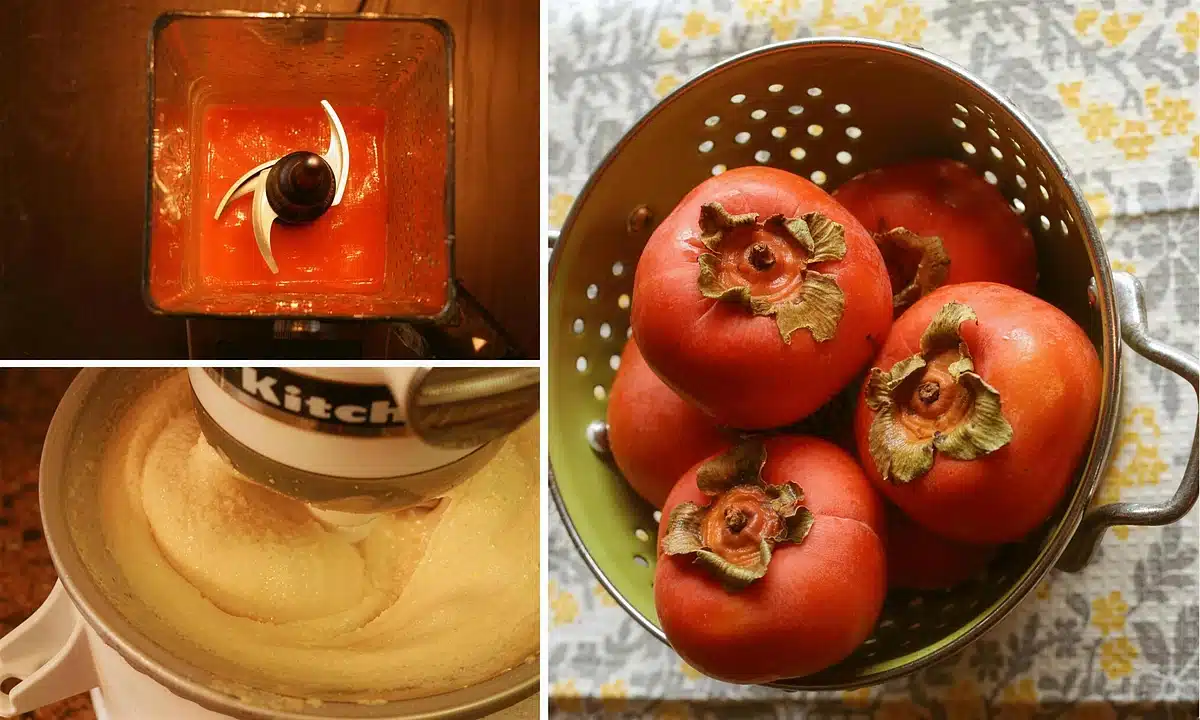 Persimmon puree in a blender and the white chocolate custard for the bread pudding