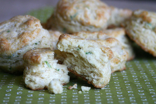 herb scallion biscuits