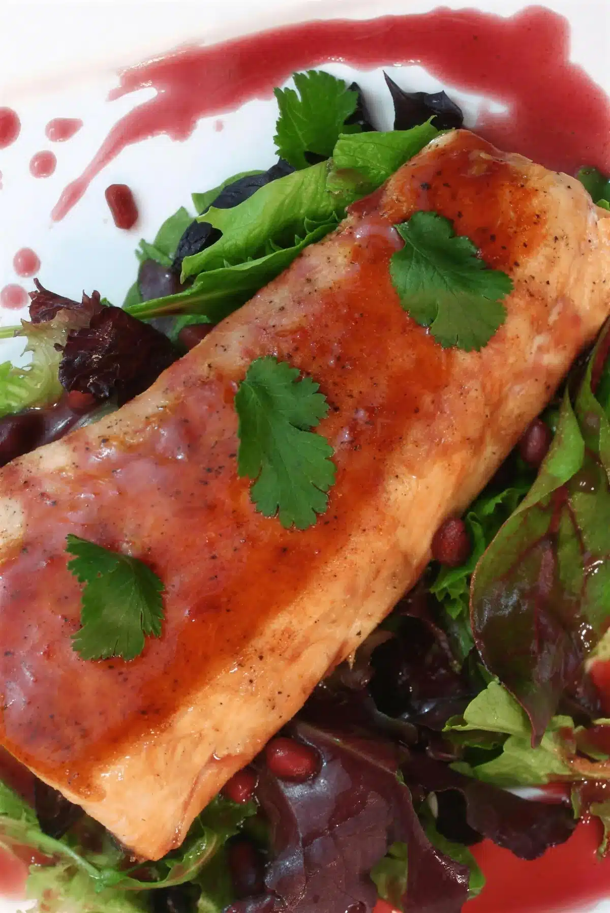 Pan seared salmon plated with pomegranate seeds and cilantro