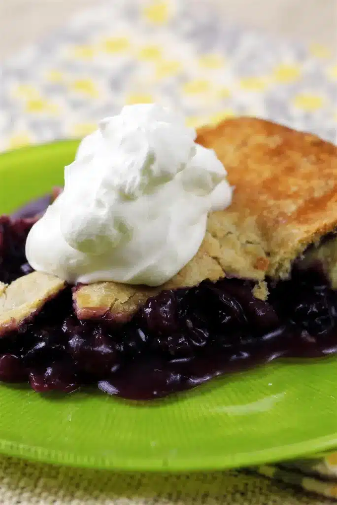Slice of deep purple fruit dessert topped with soft whipped cream