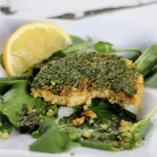 Chickpea patties topped with spicy herb sauce on salad leaves with a lemon wedge
