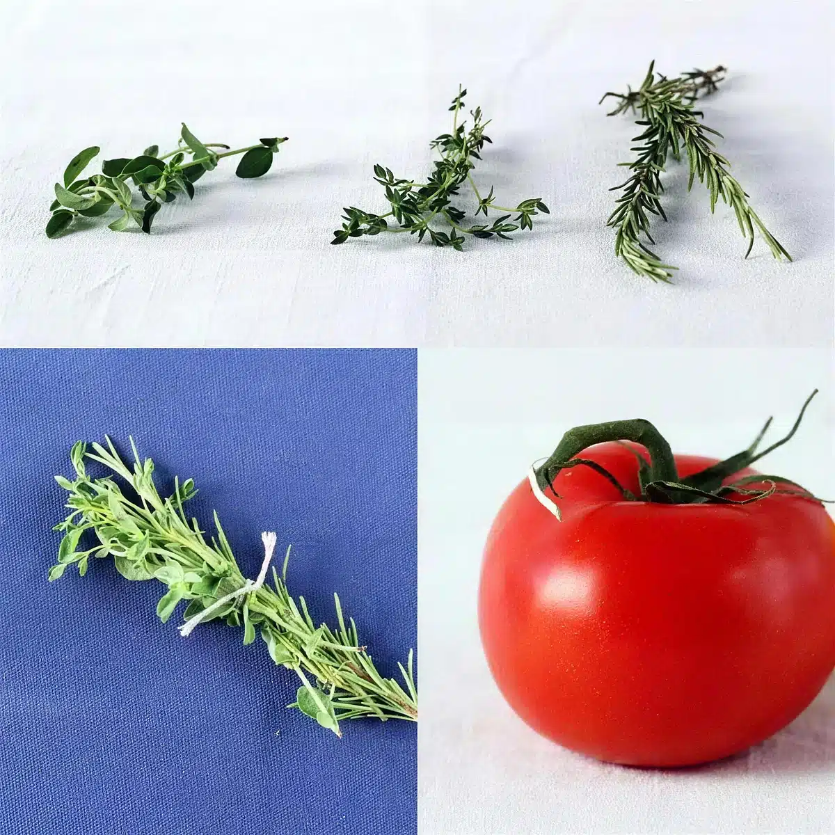 Fresh oregano, thyme and rosemary sprigs tied into a bundle on white and blue