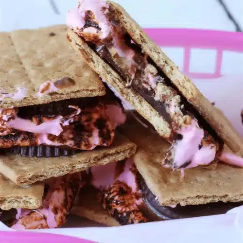 Toasted marshmallow and chocolate pressed between two graham crackers