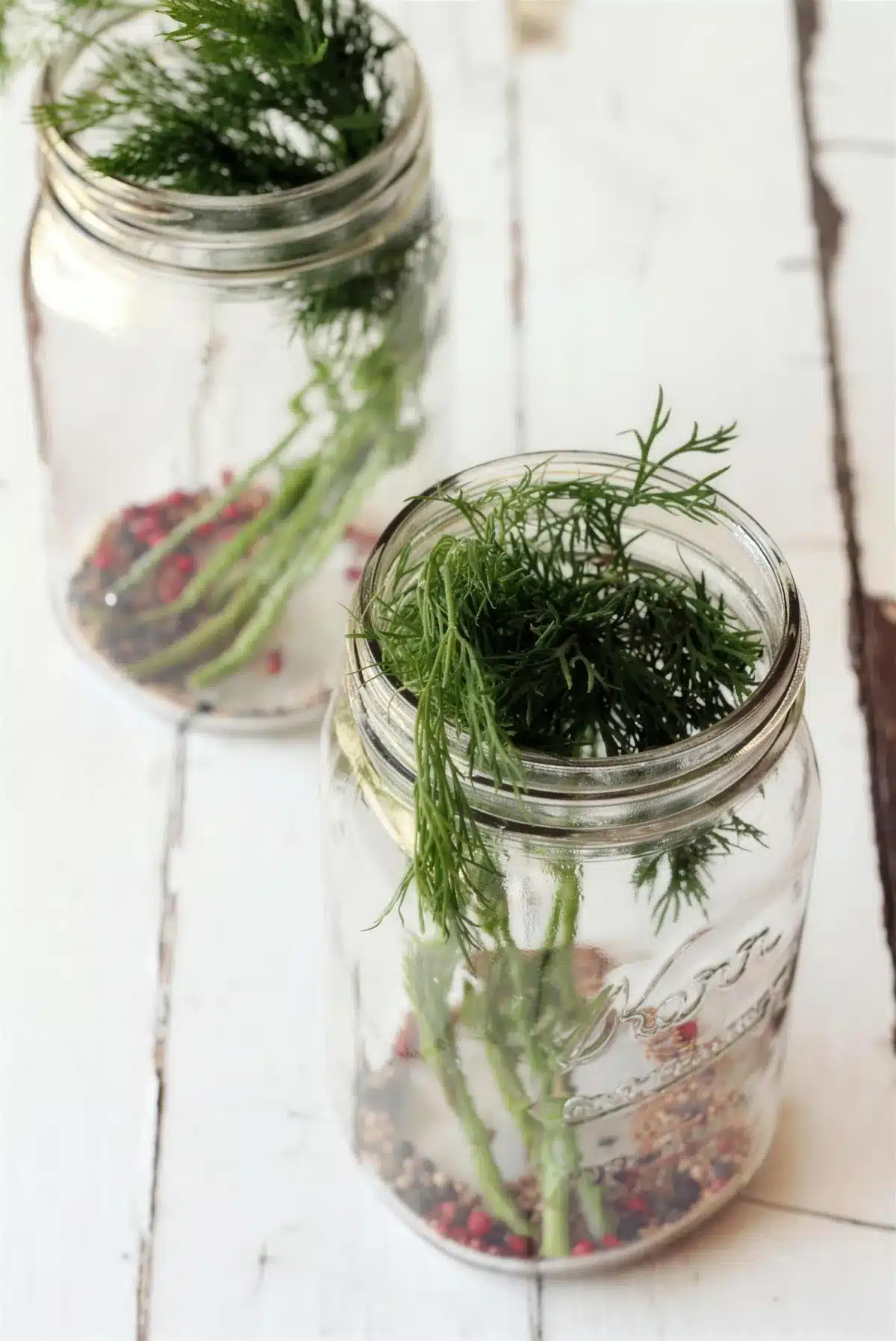 Two empty canning jars with dill fronds and spices in the bottom