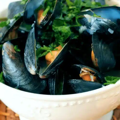 Mussels in white wine steamed open in a white bowl with parsley
