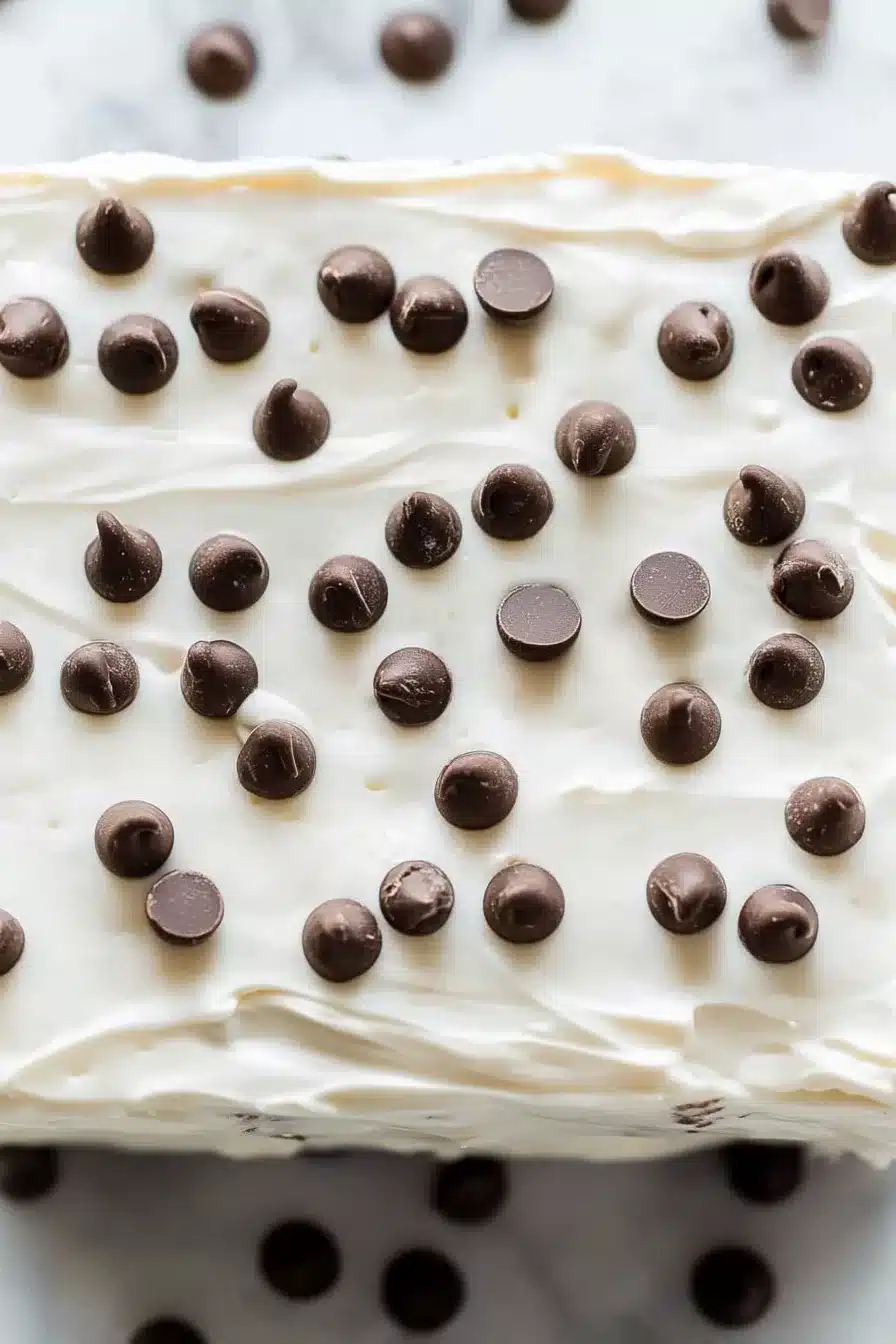 Chocolate Chip Cake Recipe