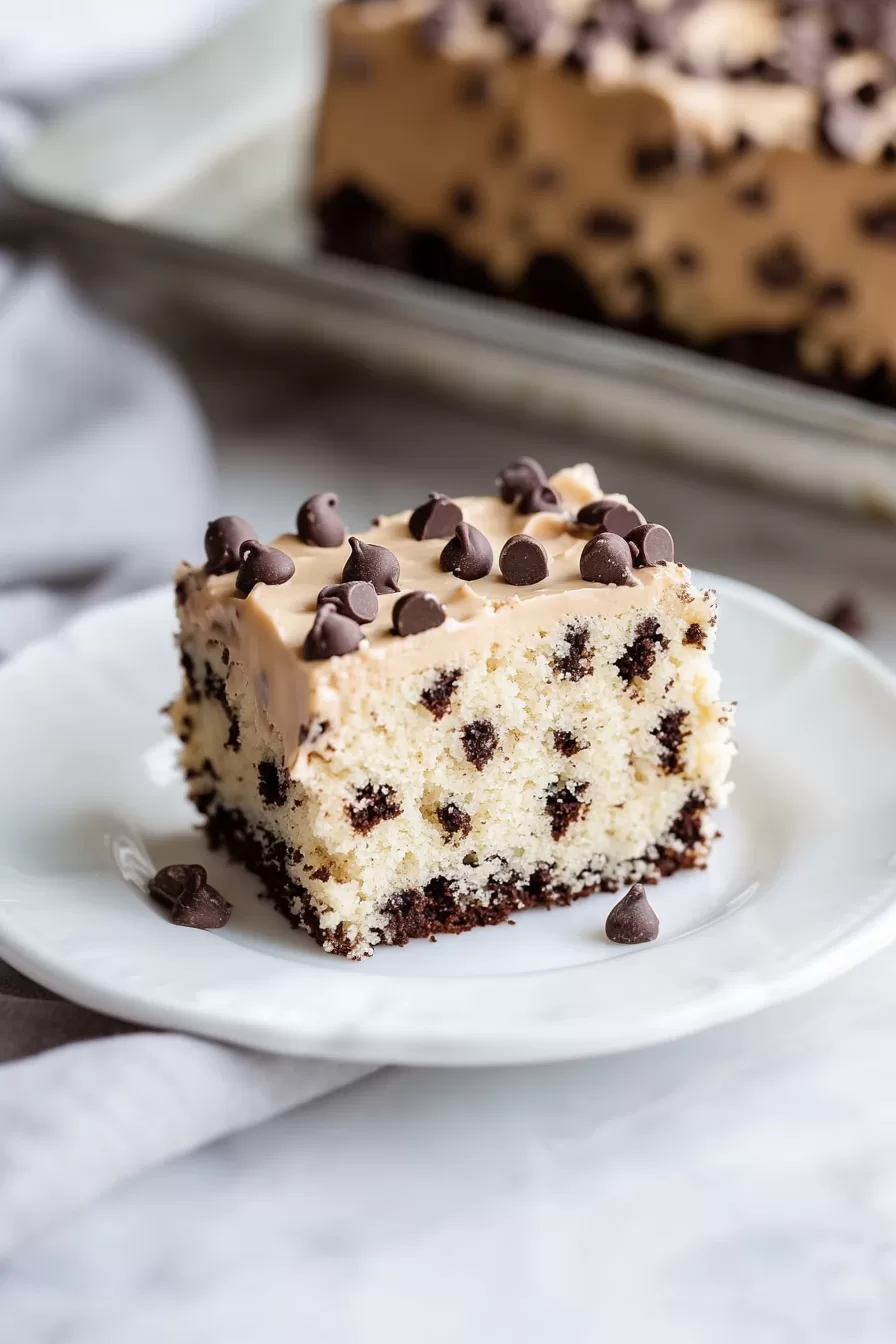 Chocolate Chip Cake Recipe