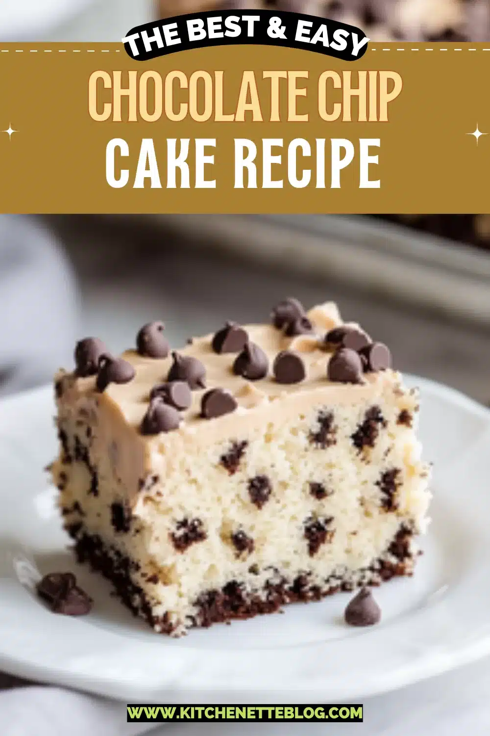 Chocolate Chip Cake Recipe