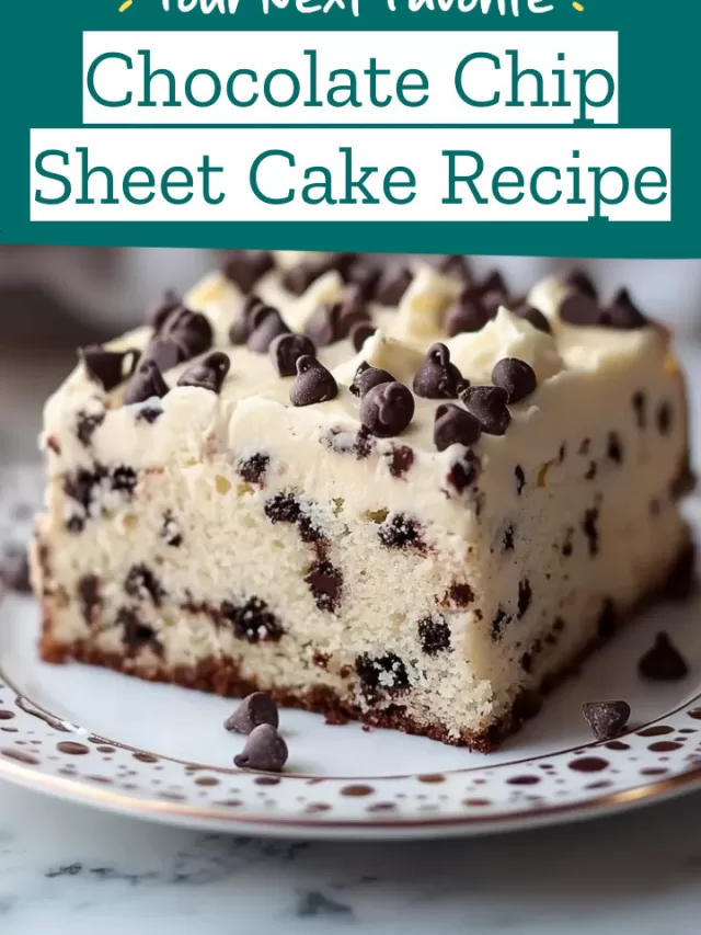 Chocolate Chip Sheet Cake Recipe
