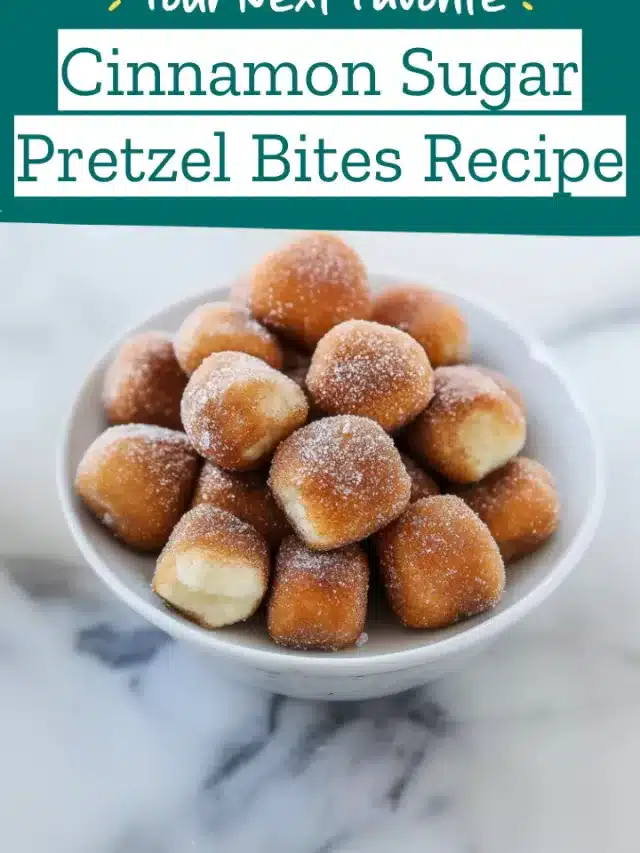 Cinnamon Sugar Pretzel Bites Recipe