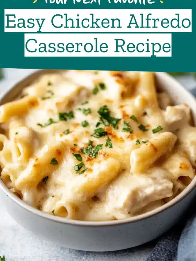 Easy Chicken Alfredo Casserole Recipe