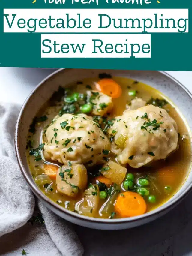 Vegetable Dumpling Stew Recipe