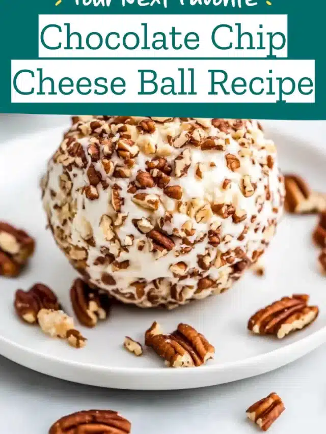 Chocolate Chip Cheese Ball Recipe