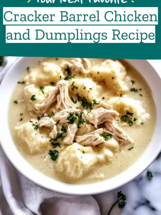 Cracker Barrel Chicken and Dumplings Recipe