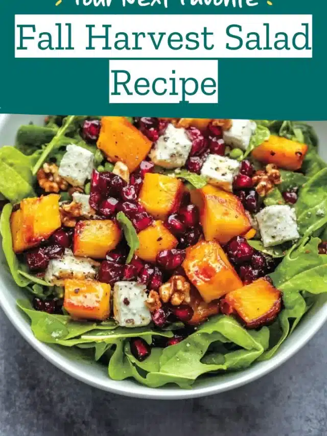 Fall Harvest Salad Recipe