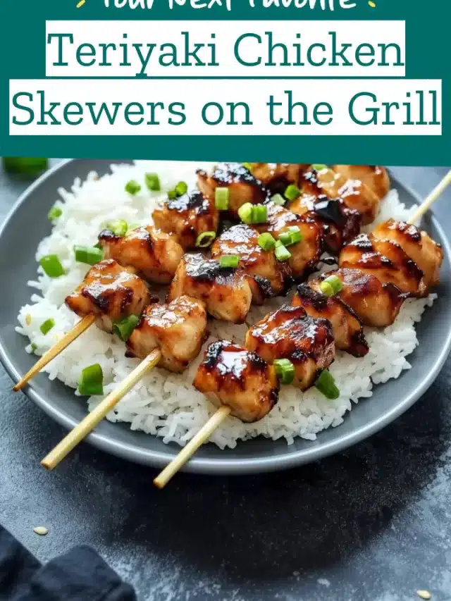 Teriyaki Chicken Skewers on the Grill