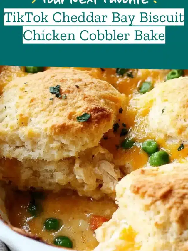 TikTok Cheddar Bay Biscuit Chicken Cobbler Bake