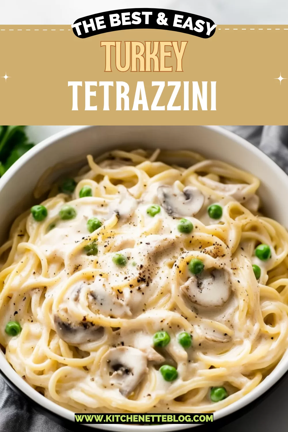 Turkey Tetrazzini