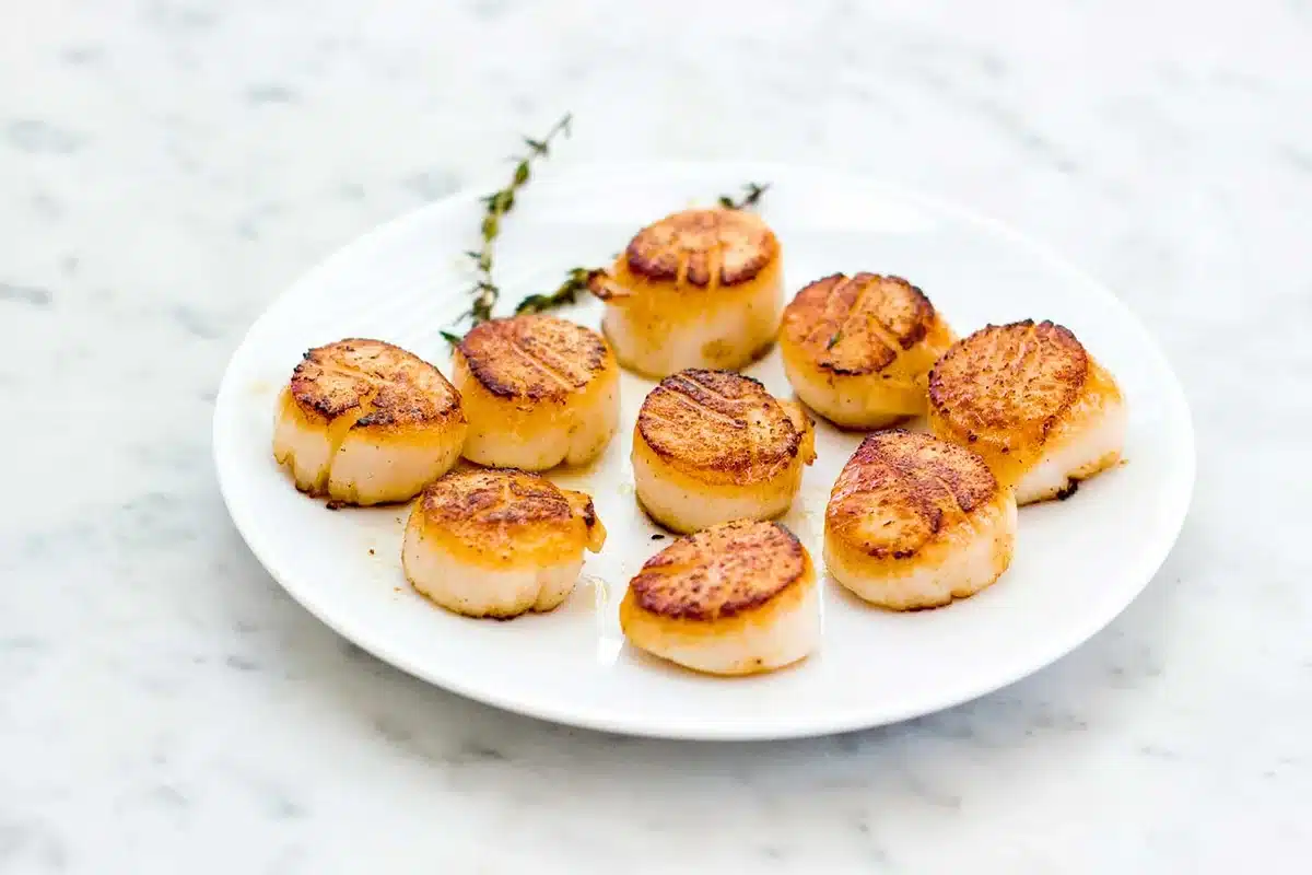 Pan seared scallops with a thyme sprig on a round white plate