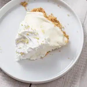A single chilled wedge on a small white plate