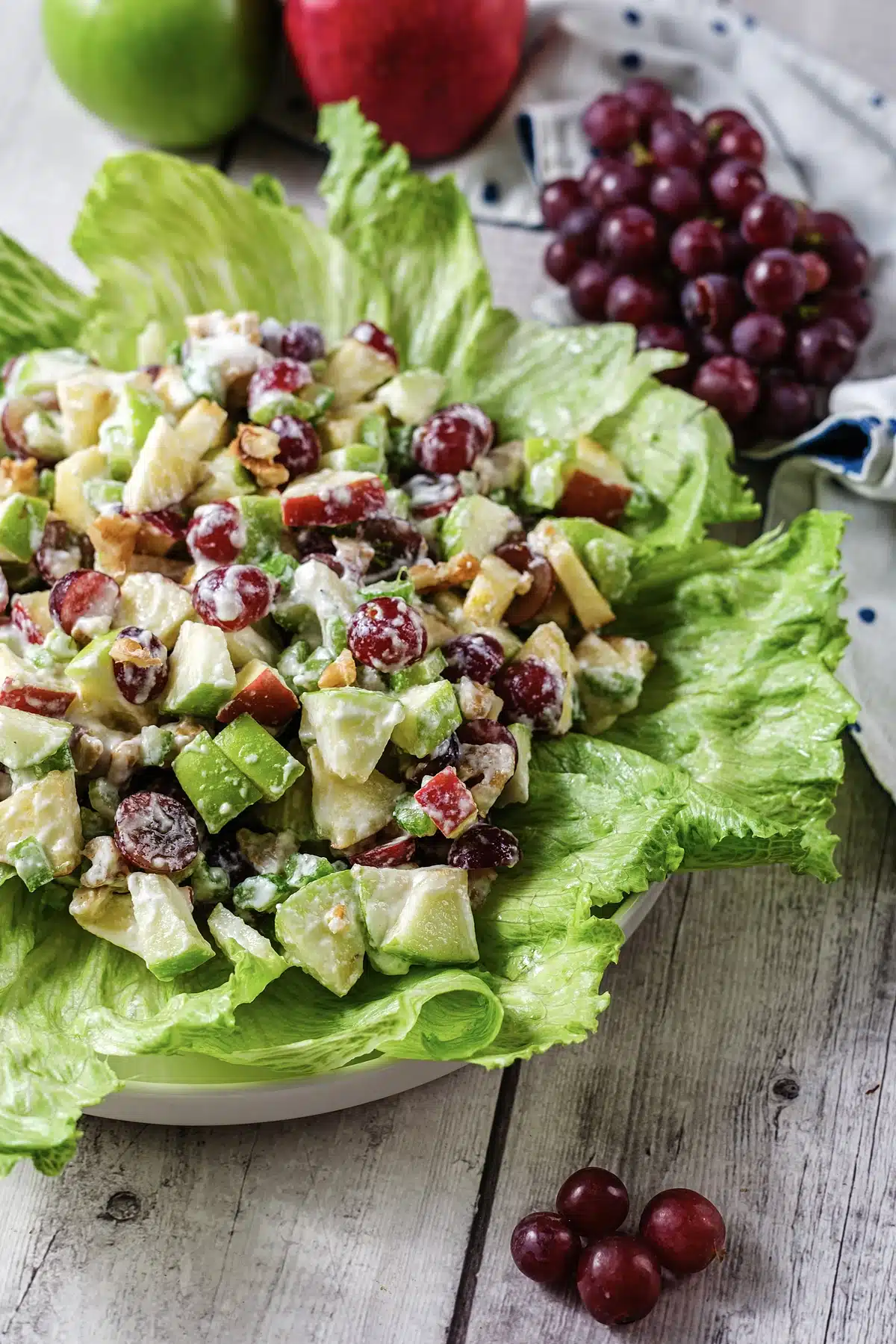 A close view of chopped green apple, red grapes and celery in a creamy dressing